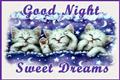 Good Dreams With Beautiful Night
