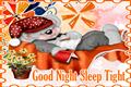 Good Night