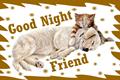 Good Night