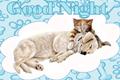 Good Night