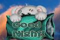Good Night 
