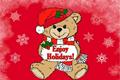Enjoy Holidays