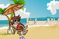 Summer Holiday