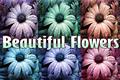 Beautiful Flowers 