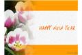 Happy new year