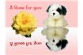 A rose for you