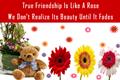 True Friendship Is Like A Rose