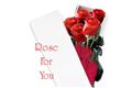 Rose for you