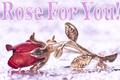 Rose For You