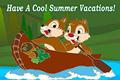 Summer Vacations