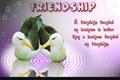 Friendship 