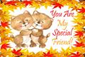Special Friend