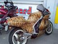 This Is BiKE Or My Tiger