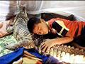 Dont Sleep With The Crocodile