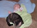 Kid sleeping with cat