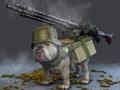 funny dog with gun