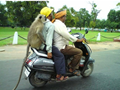Funny Pictures of India