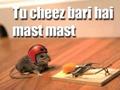 Really Funny mouse trap cheese