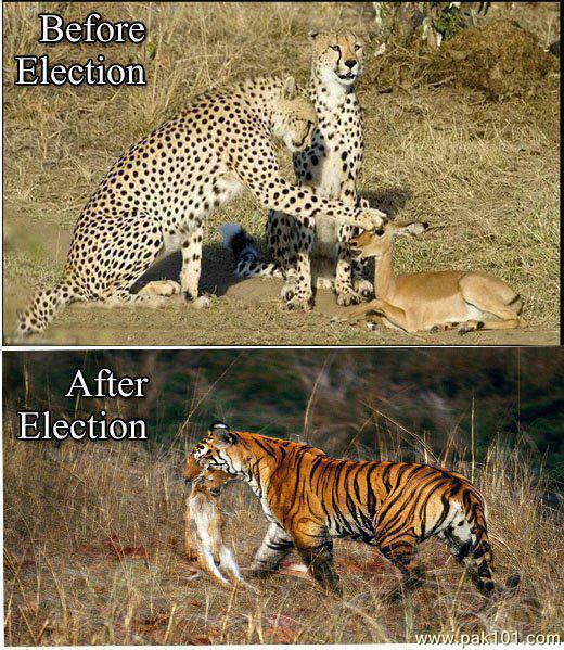 after_election_before_election_tikdz_Pak101%28dot%29com.jpg