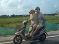 Funny Dog Going Bicke Picture