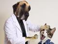 Doctor Dog Pakistani Funny