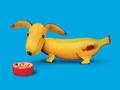 Doggy banana