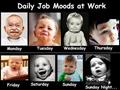 daily job moods funny