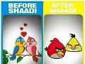Love And Angry Birds