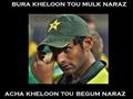 funny pictures cricket