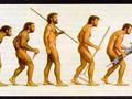 evolution of man!
