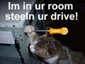 Funny cat engineers the reason why you should cover your pc