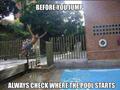 Funny Pool Jumping - Copy