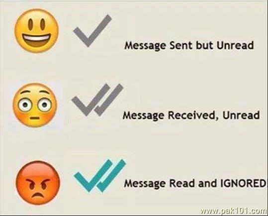 Funny Picture Whatsapp Message Funda 