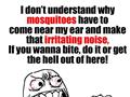 Irritating Noise Of Mosquitoes