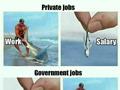 Private And Government Job