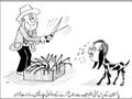 Pakistan-IMF-Funny-Cartoon