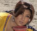 Hina Shaheen