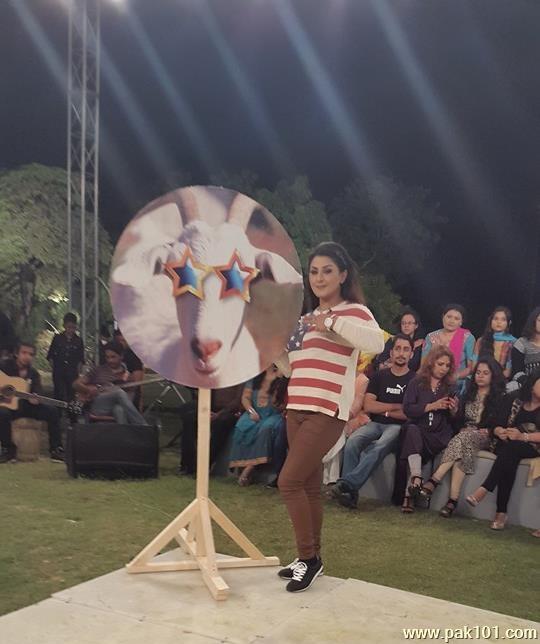 Laila -Pakistani Film Actress Celebrity