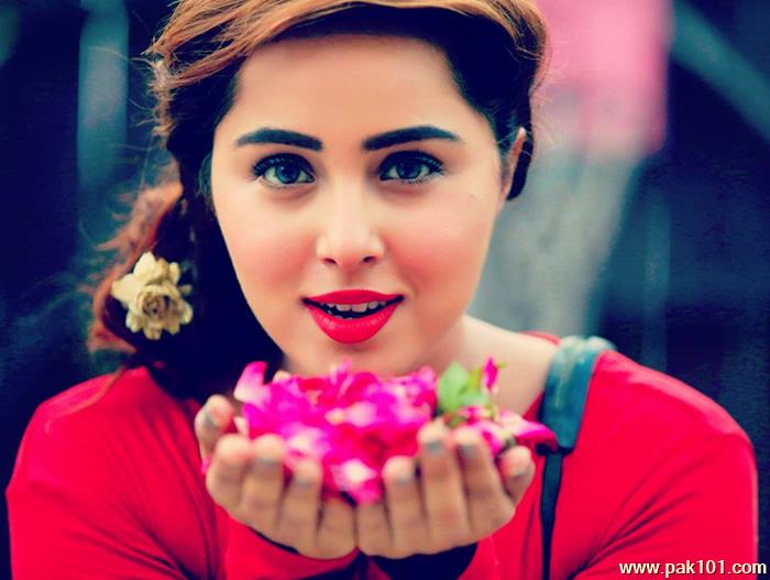 Nimra Khan -Pakistani Female Television Actress And Director Celebrity
