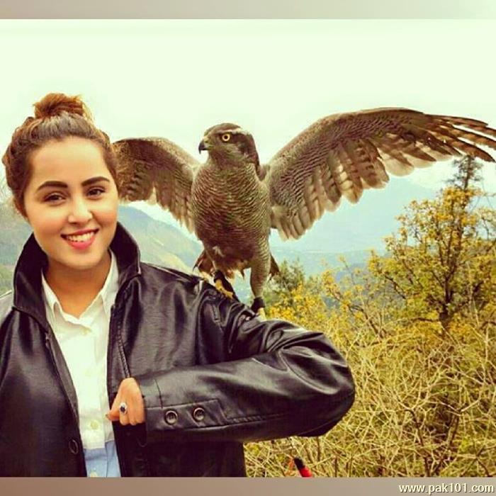 Nimra Khan -Pakistani Female Television Actress And Director Celebrity