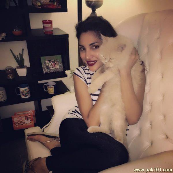 Zhalay Sarhadi -Pakistani Female Actress And Model Celebrity