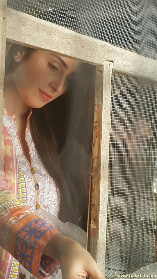 Ayeza Khan (Aiza)- Pakistani Female Television Actress Celebrity