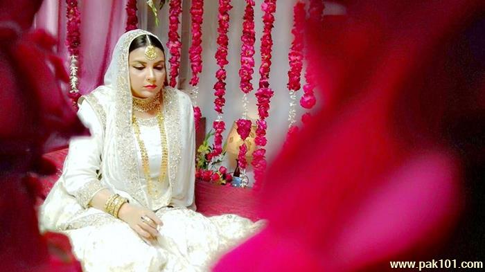 Faiza Hasan -Pakistani Television Actress Celebrity