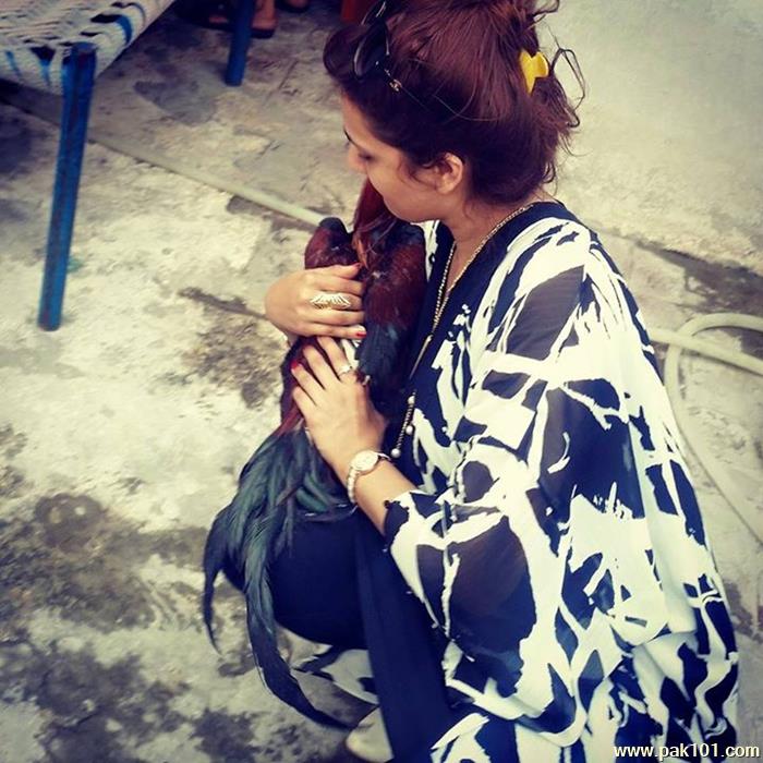 Maha Warsi -Pakistani Television Actress Celebrity