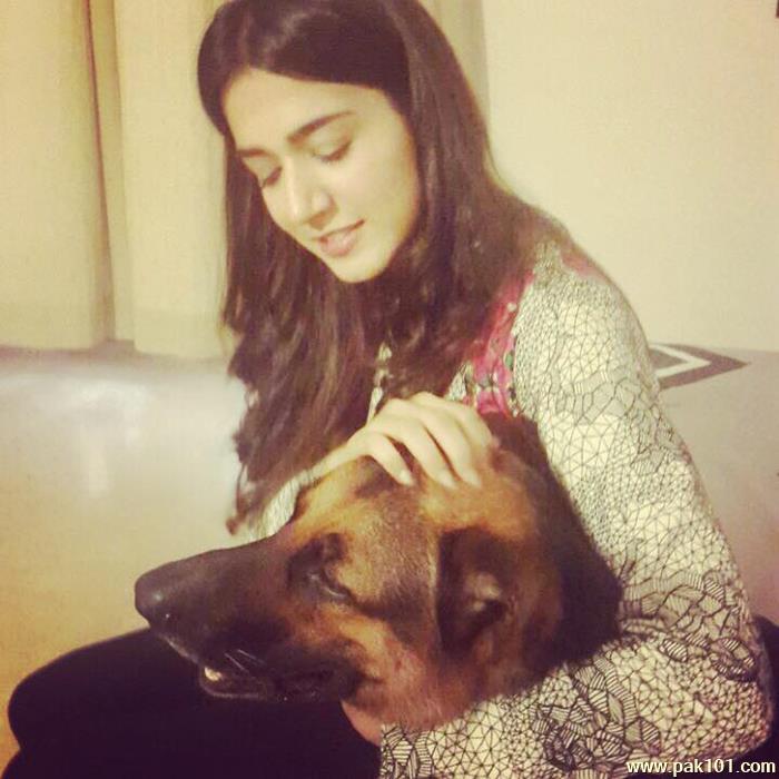 Mansha Pasha -Pakistani Female Television Actress Celebrity