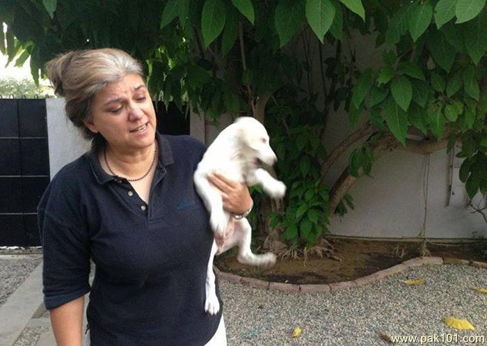 Marina Khan-Pakistani Television Actress