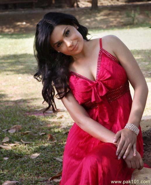 Meera -Pakistani Film Industry Actress Celebrity