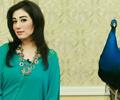 Riz Kamali -Pakistani Television Actress And Host Celebrity