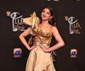 Pakistani Celebrities at Lux Style Awards 2019
