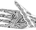 Mehndi For Hands